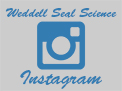 New Weddell Seal Science Instagram